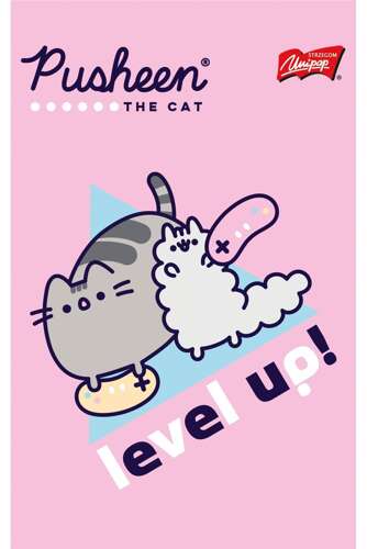 PUSHEEN NOTEBOOK NOTEBOOK ŠKOLSKÝ ZÁPISNÍK A6/50K LAMINOVANÝ MAJEWSKI KOTEK