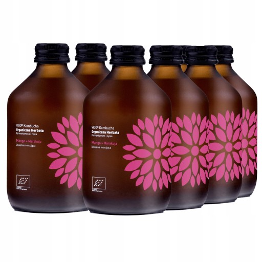Kombucha Mango + Passion Fruit Bio 330 ml