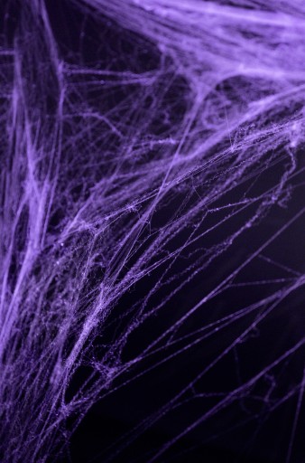 SPIDER WEB HALLOWEEN 60G FIALOVÁ