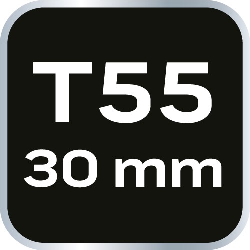 Bit TORX T55 x 30 mm, S2 x 2 ks.