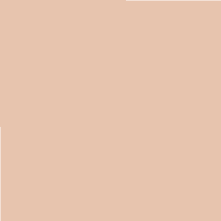 Rimmel Lasting Radiance 10 Light Porcelain Foundation