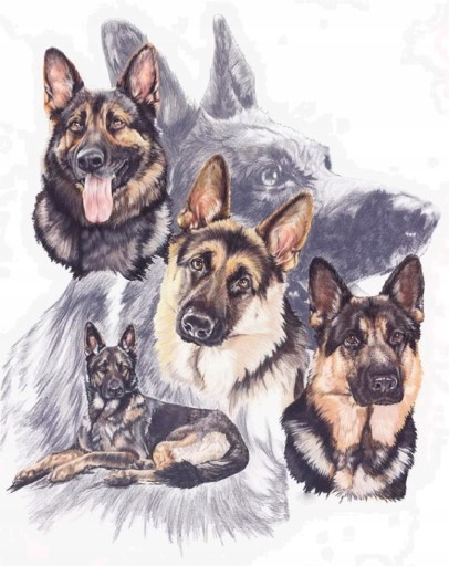 Diamond Painting DOG Diamond Mosaic Dog 5D Obrázky vyrobené z 5D diamantov