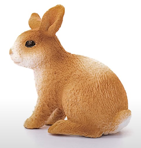 FARMA SVET SCHLEICH KRÁLIEK OBRÁZOK 13827