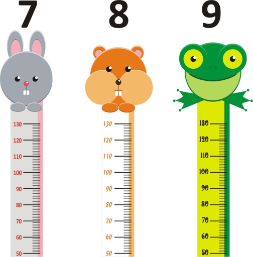 Nálepka MEASURE VÝŠKA