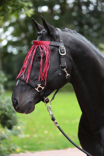 Covalliero 1 (pony) oranžové a červené