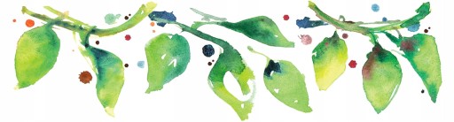 COOKIES ČOKOLÁDOVÉ BRUSINKY JAHODY bez cukru