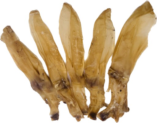 Králičie uši bez chĺpkov Natural hryzátko 5 kusov