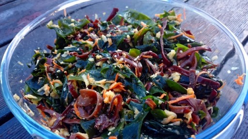 Sušené riasy WAKAME Morské riasy Cut Algae 100 g