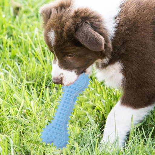 V2 BONE DOG CHEEPER GUMOVÉ ŠTENIATKA HRAČKA MLÁĎATKO S OSTRÝMI