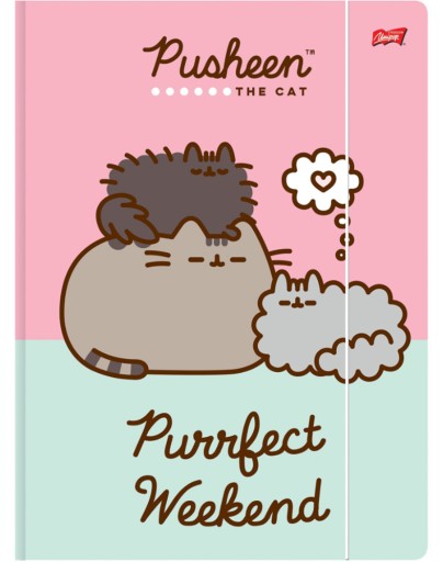 A4 PUSHEEN BAMBINO PILNÍK S GUMA