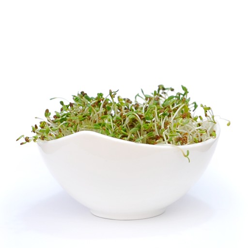 Klíčky - Alfalfa Alfalfa - 50g Semená na klíčky