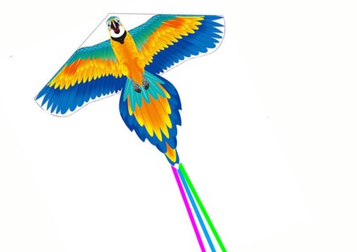 Mega Large Kite Bird Long Tail Farebné Dobré spracovanie