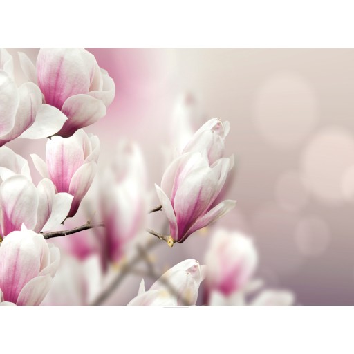 MAGNOLIA sklenená tabuľa 25x35 cm