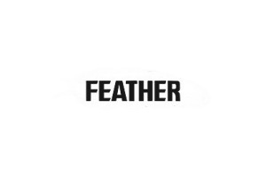 Žiletky Feather Hi-Stainless 5 ks.