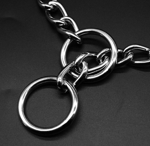 DOG CHOKE CHAIN BEHAVIORAL SHOW RING GOLIER 50cm M