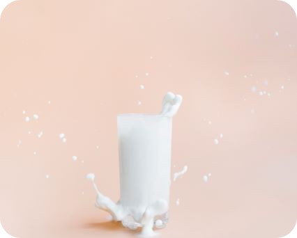 Rastlinný nápoj Bio vanilkové sójové mlieko BIO 1L / SÓJOVÝ NÁPOJ