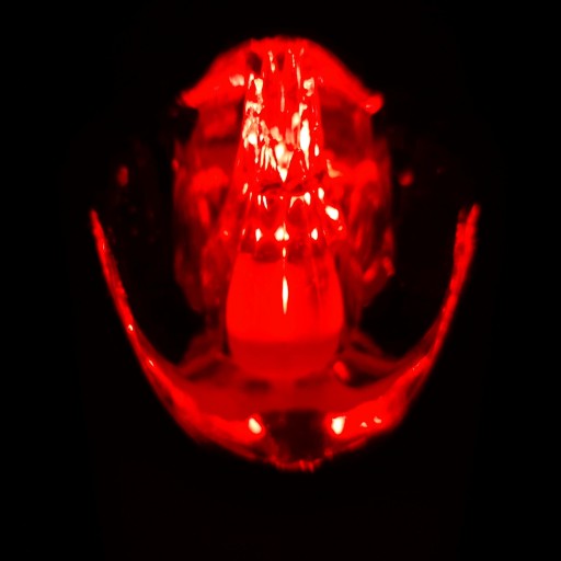 VEĽKÁ LED VLOŽKA SVIEČKY NAPÁJANÁ AKUMULÁTOROU 17cm PRE GRANES VLOŽKY SVIEČKY
