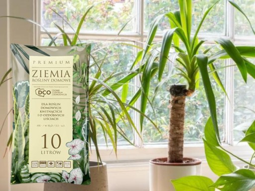 PREMIUM PÔDA pre rastliny v črepníkoch MONSTERY PALM JUK ZAMIOKULKASA 10L