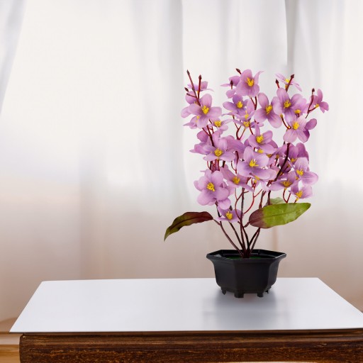 UMELÉ KVETY V KVETINÁME ORCHIDEJ