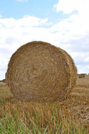 XXL pšeničná slama, podstielka do búdy pre psa, pod jahody, izolácia 3KG