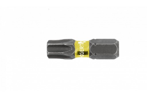 Nárazový skrutkovač Torx TT40 bit 25mm 5ks