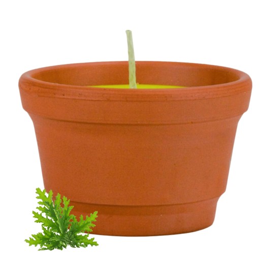Citronella okrúhla vonná sviečka 60/90 PRO CANDLE proti komárom