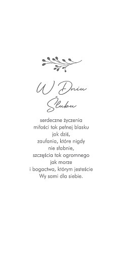 Svadobné blahoželania Eco Premium DLAS120