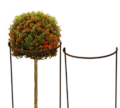 Podpera pre hortenzie, rastliny, kvety, pergola, 30/50 cm, podpery pre monstera ruže