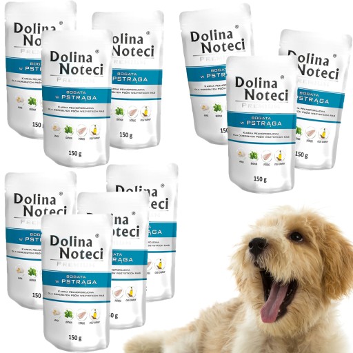 Dolina Noteci Premium dospelý pstruh 150 g