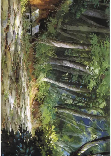 Anime Manga Spirited Away smradľavý plagát 002 A3