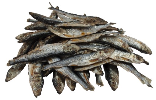 SPRAT PREMIUM sušené šproty pre psov a mačky 100g