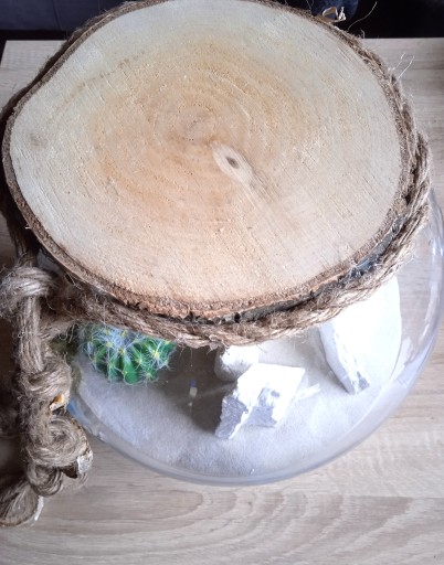 DREVA DREVA, KRUH DUB, 15-18CM, 1 KS