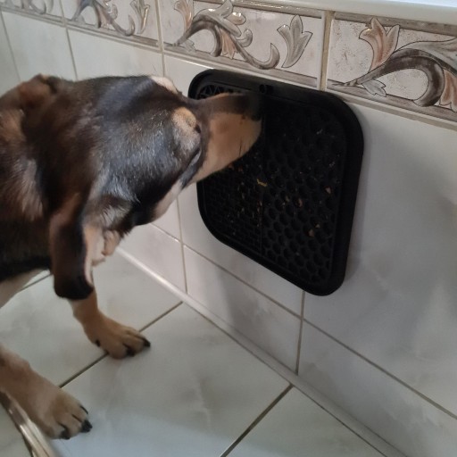 Veľká antistresová podložka, tácka na lízanie psa