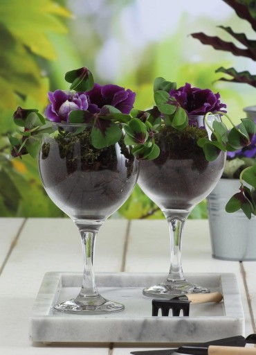 GLASMARK Vodný pohár 580ml