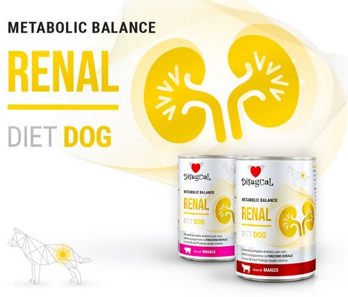 Disugual Dog Diet Renal bravčové mäso 400g