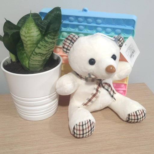 DARČEK MEDVEĎ MASKOT PRE DIEVČATKO