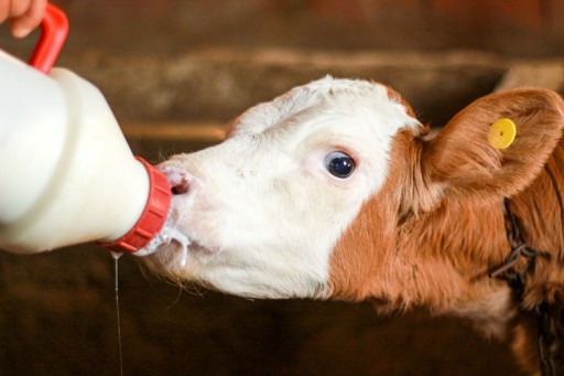 OverVet HydroMilk - fluidné posilňujúce lýtka 25 ml