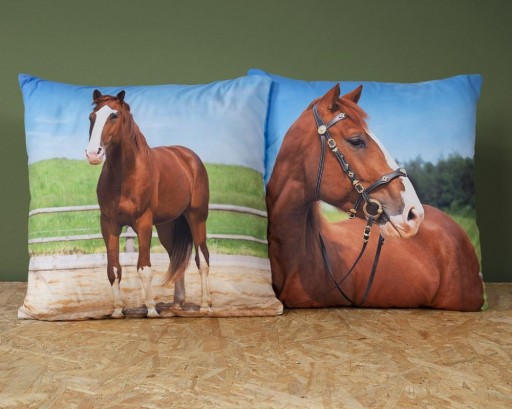 Detská obliečka na vankúš 40x40 koní MF 03 Kids 114