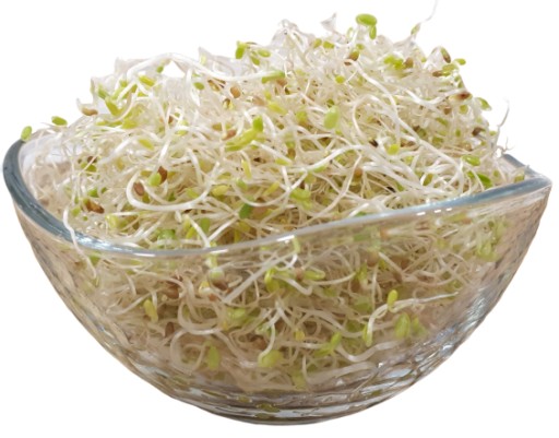 ĎATELIENKA - semená na klíčky 250g