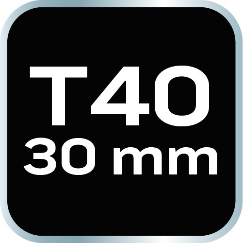 Bit TORX T40 x 30 mm, S2 x 2 ks.
