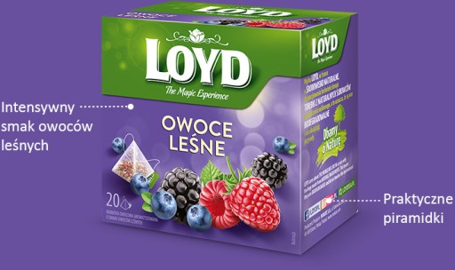 Ovocný čaj v pyramídach Loyd lesné plody 20 ks