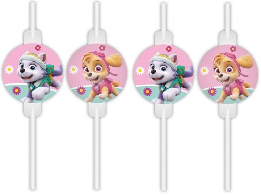 PAW PATROL SKYE EVEREST JEDNORÁZOVÉ SLAMKY 4 ks