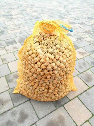 LIESKOVÉ ORIEŠKY KRUHÉ V LÚPADE 1KG