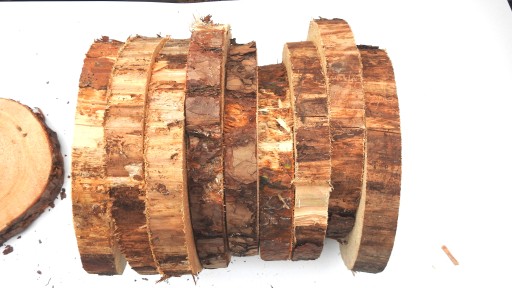 DREVA DREVA, KOŠTIČKA BOROVICE, 25-30CM, 1 KS