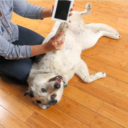 DOG MAČKA SADA TLAČKY NA TLAČ TLAČOVÁ ATRAMENT NA TLAČOVÉ ODtlačky PSA
