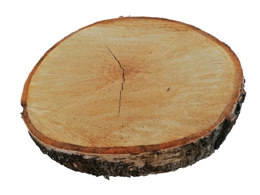 BREZA plátok, drevený kotúč, TOP stolík, 25 cm