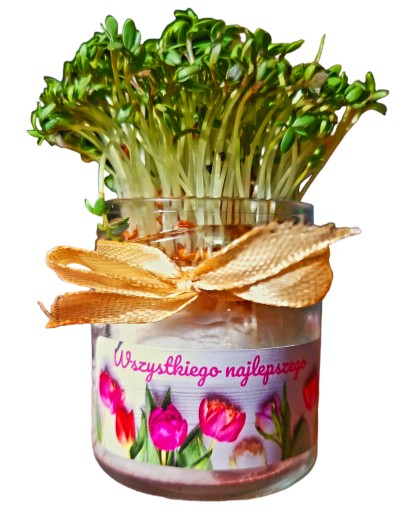 CRESS V MINI Tvárničke S VEĽKONOČNOU DEKORACIou Rastú, aby rástli