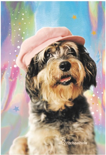 Holografický zápisník PASO RLF-3680 Dog Star