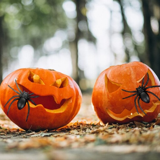 Spider Halloween pavúky umelá dekoračná guma Čierna 4 ks.