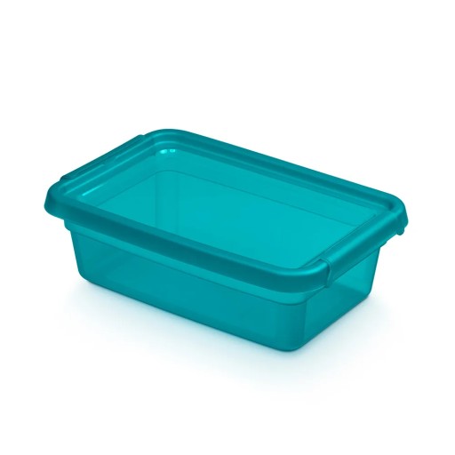 Plastová nádoba na hračky s krytom BaseStore Organizer Box 3 l
